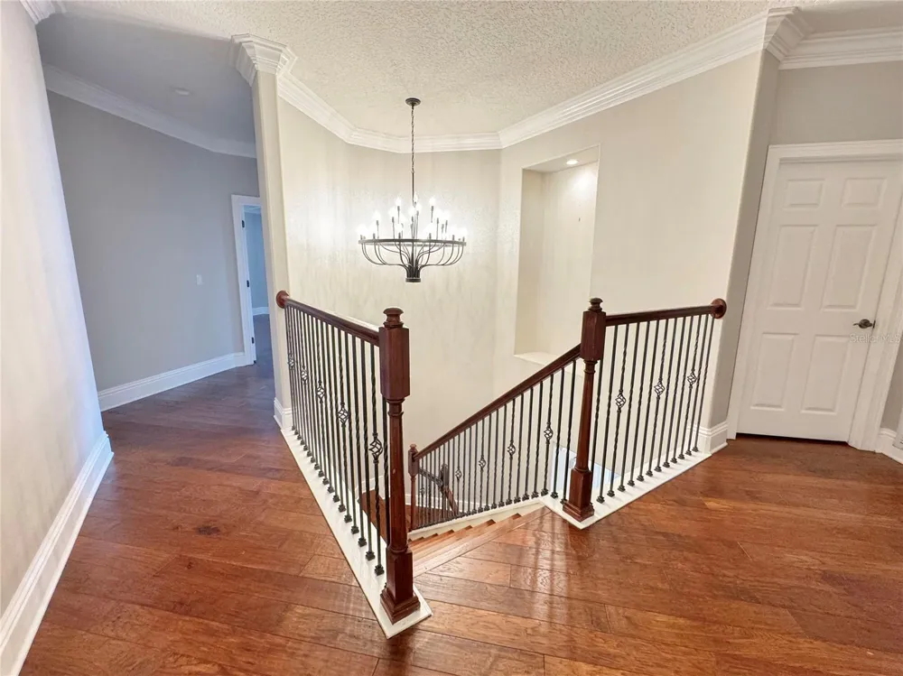 173 CALLIOPE STREET Ocoee, FL 34761