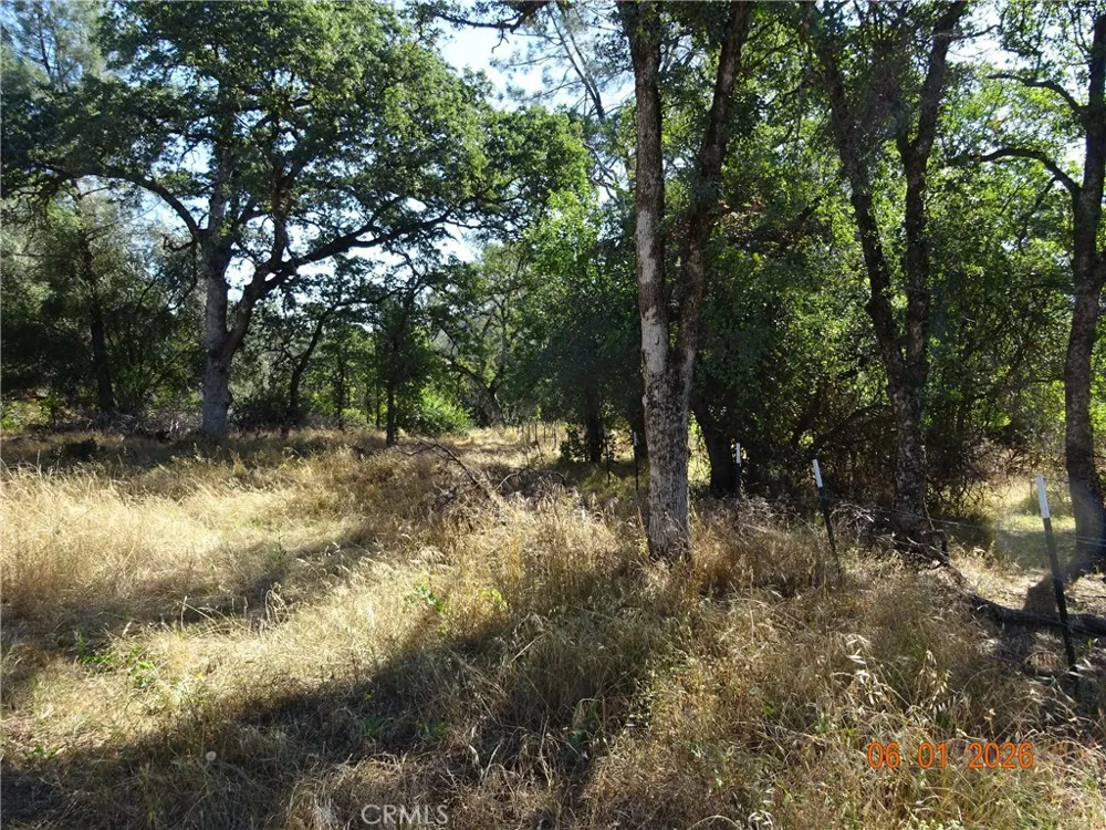 Pinemont Oroville, CA 95966