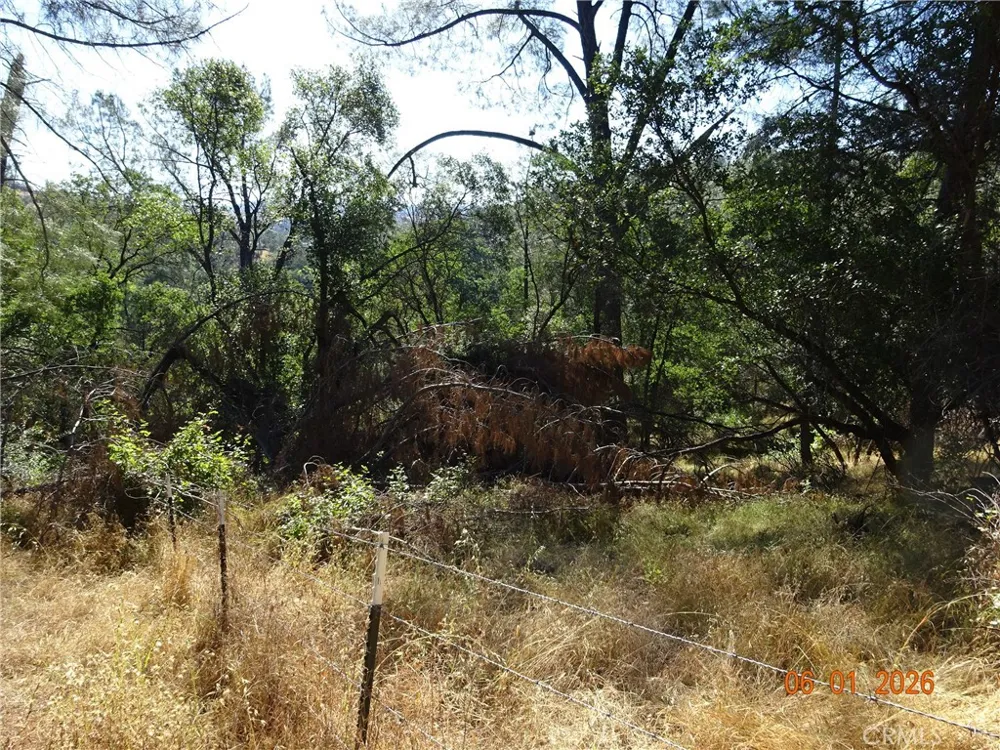 Pinemont Oroville, CA 95966