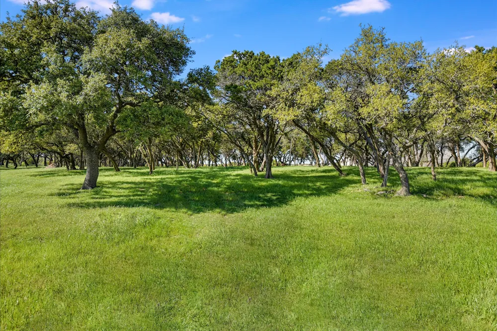 Address Not Shown Dripping Springs, TX 78620