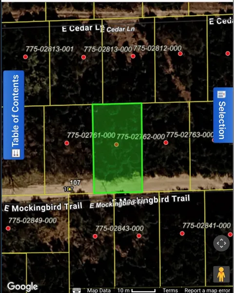 E Mockingbird Trail