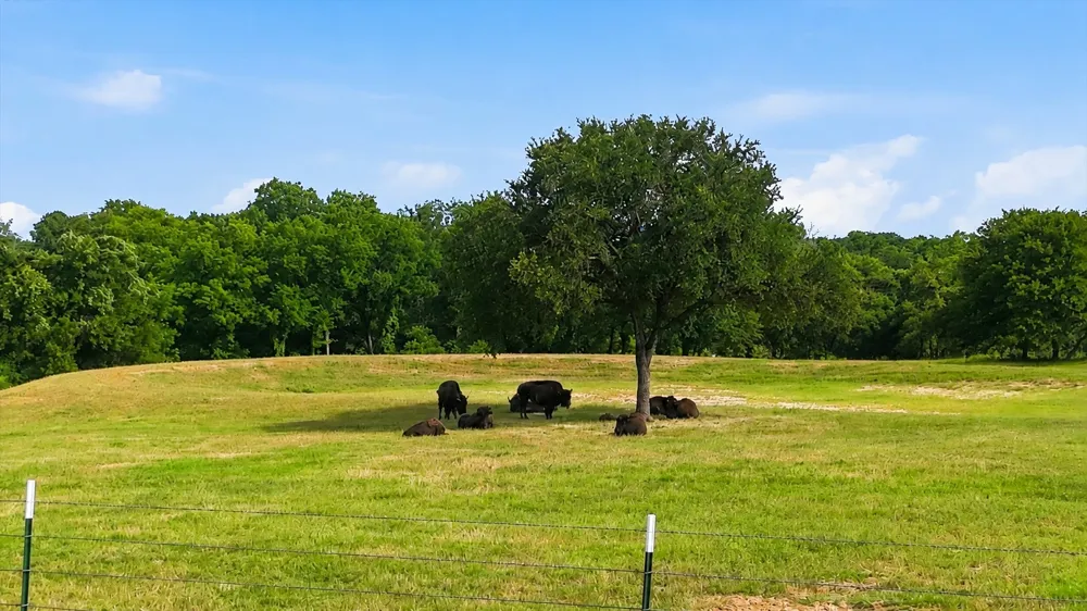 579 County Road 4599 Boyd, TX 76023