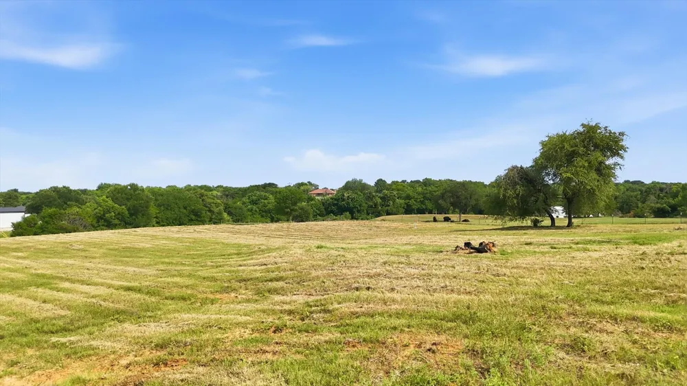 579 County Road 4599 Boyd, TX 76023