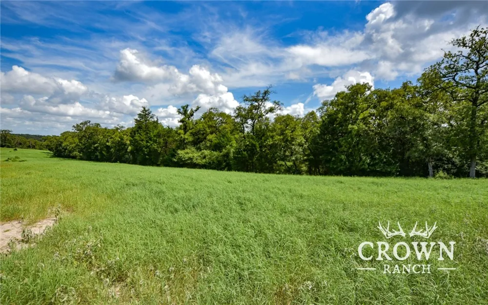 FM 908 (+/-1,057 acres) Caldwell, TX 77836