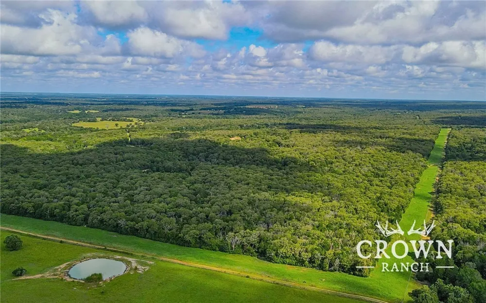 FM 908 (+/-1,057 acres) Caldwell, TX 77836
