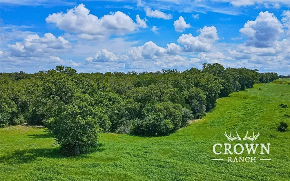 FM 908 (+/-1,057 acres) Caldwell, TX 77836