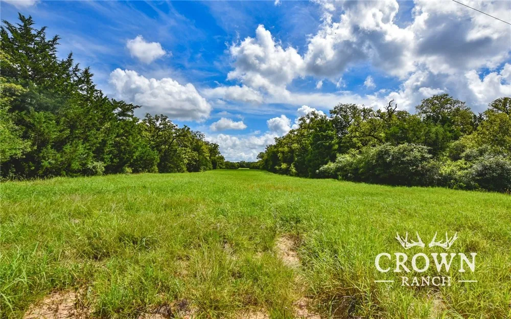 FM 908 (+/-1,057 acres) Caldwell, TX 77836
