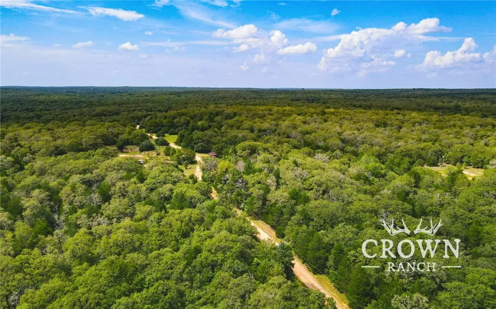 FM 908 (+/-1,057 acres) Caldwell, TX 77836