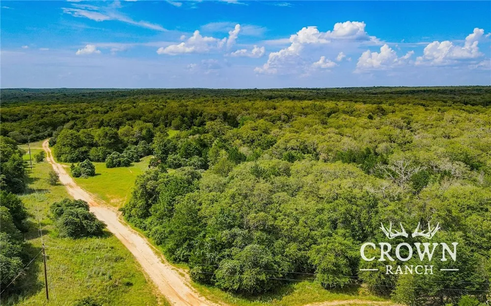FM 908 (+/-1,057 acres) Caldwell, TX 77836