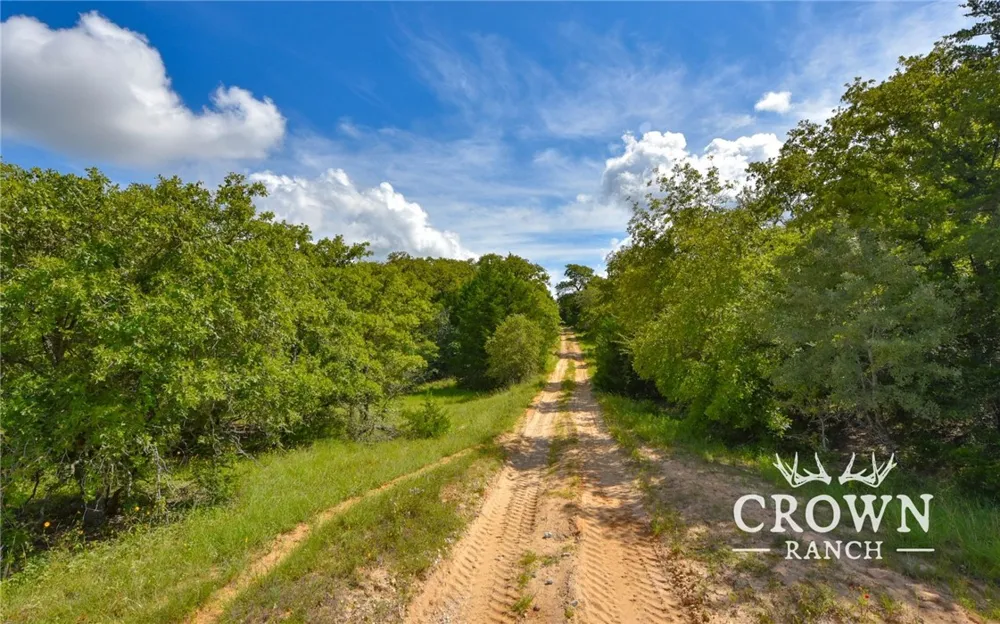 FM 908 (+/-1,057 acres) Caldwell, TX 77836
