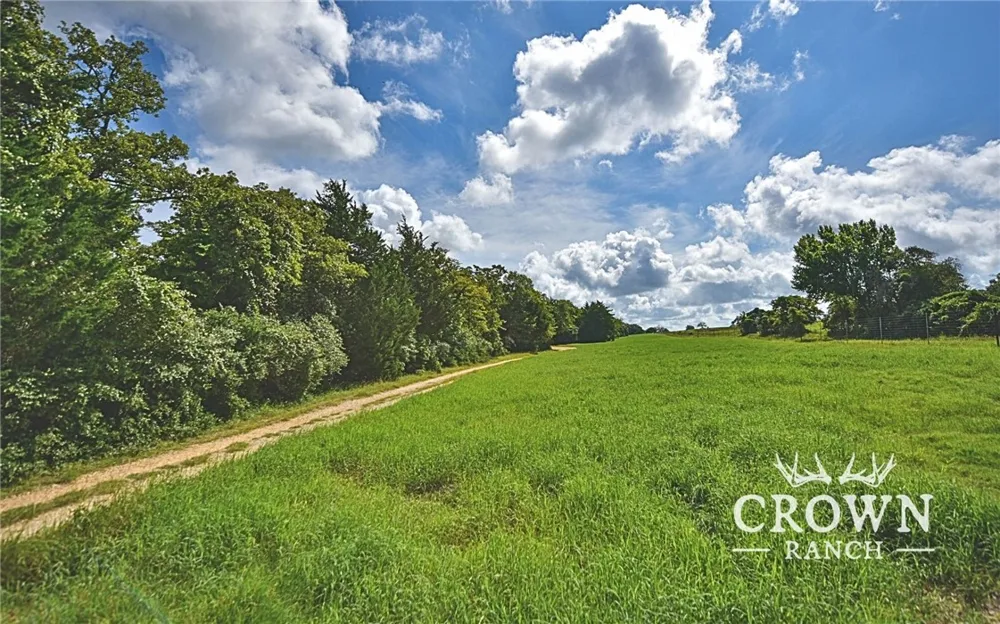 FM 908 (+/-1,057 acres) Caldwell, TX 77836