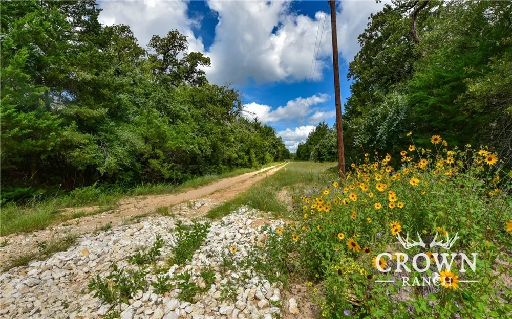 FM 908 (+/-1,057 acres) Caldwell, TX 77836