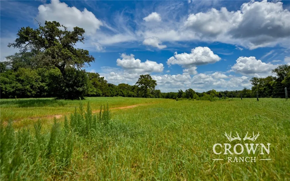 FM 908 (+/-1,057 acres) Caldwell, TX 77836