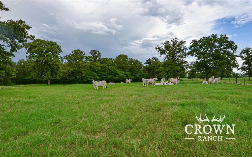 FM 908 (+/-1,057 acres) Caldwell, TX 77836