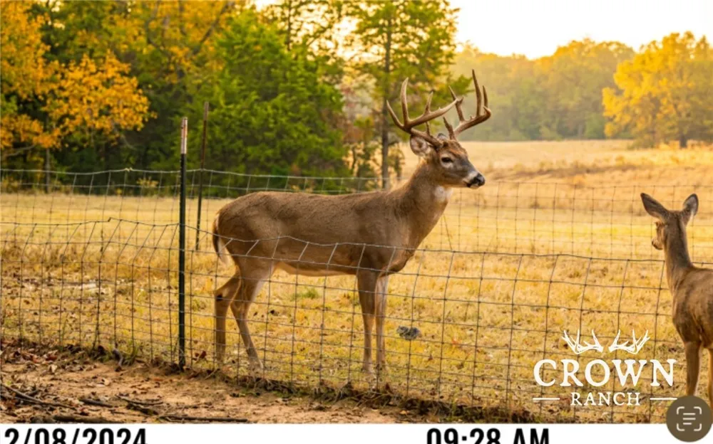 FM 908 (+/-1,057 acres) Caldwell, TX 77836