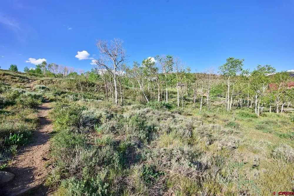 4217 Bryant Avenue Crested Butte, CO 81224