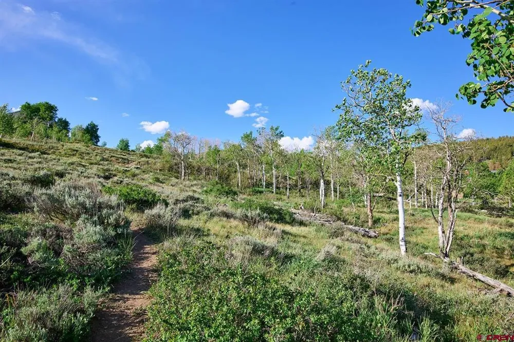 4217 Bryant Avenue Crested Butte, CO 81224