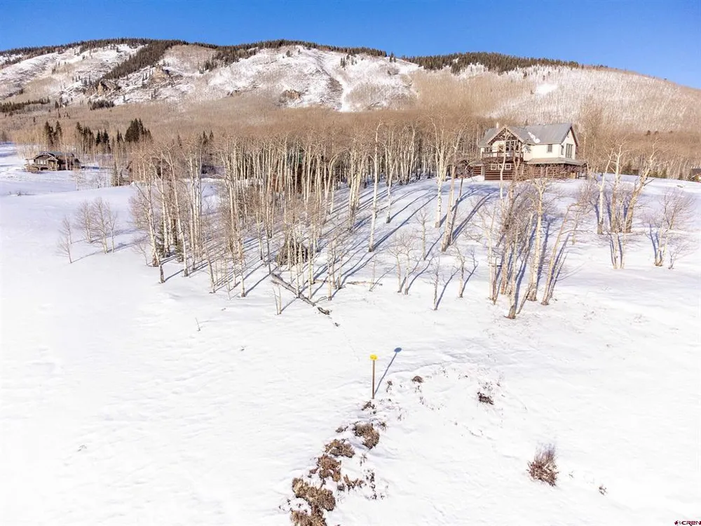 248 Meadow Drive Crested Butte, CO 81224
