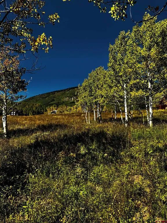 248 Meadow Drive Crested Butte, CO 81224