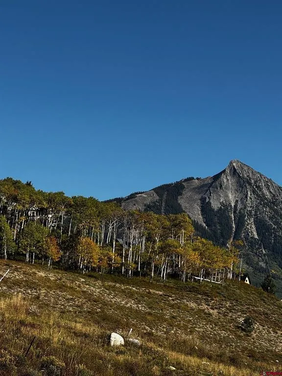 248 Meadow Drive Crested Butte, CO 81224