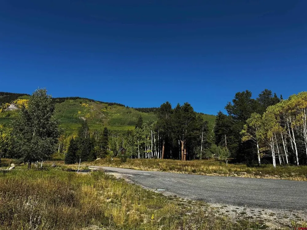 248 Meadow Drive Crested Butte, CO 81224