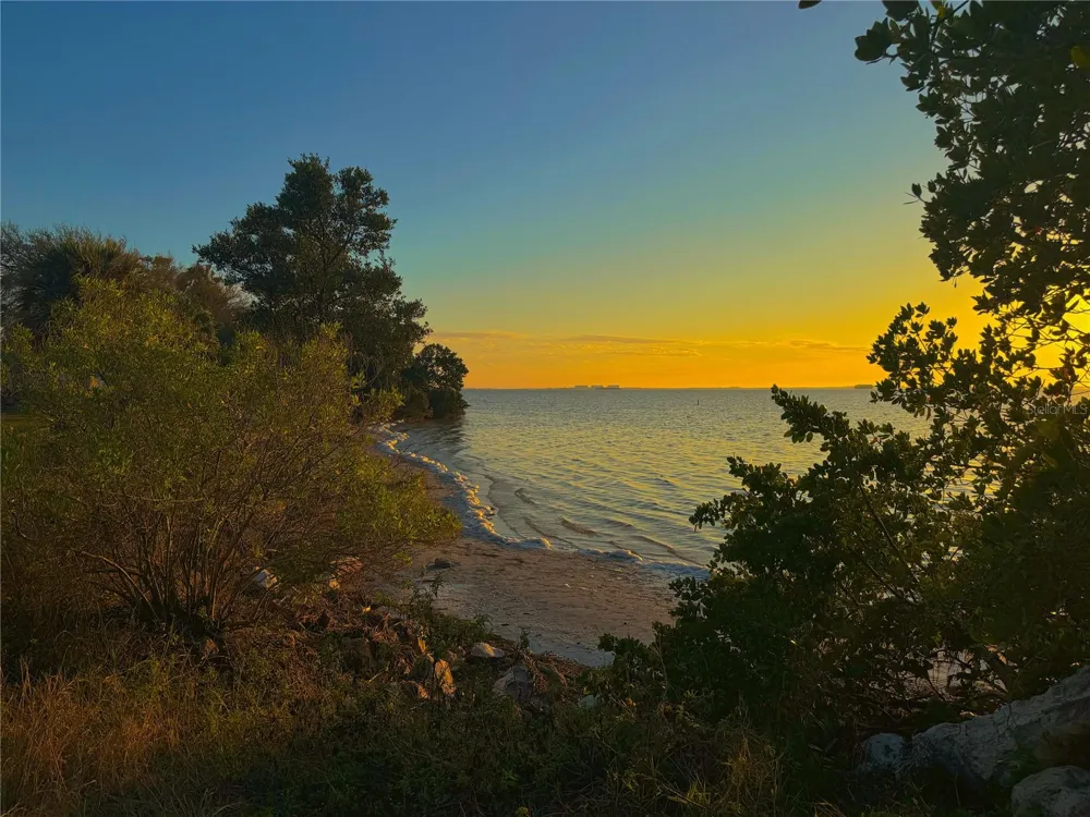 100 AVERY AVENUE Crystal Beach, FL 34681