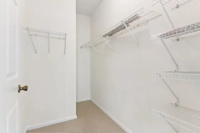 1704 Frederica Road #336 St. Simons, GA 31522