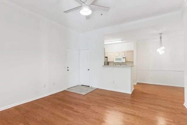 1704 Frederica Road #336 St. Simons, GA 31522