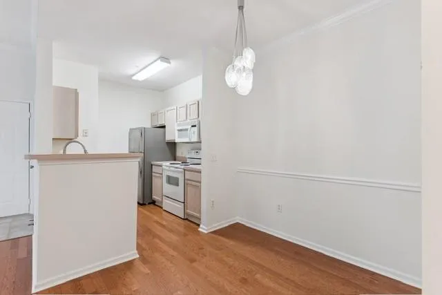 1704 Frederica Road #336 St. Simons, GA 31522