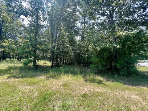 Hidden Oaks Drive
