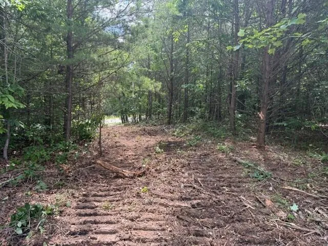10775 S Pittsburg Mountain Road South Pittsburg, TN 37380