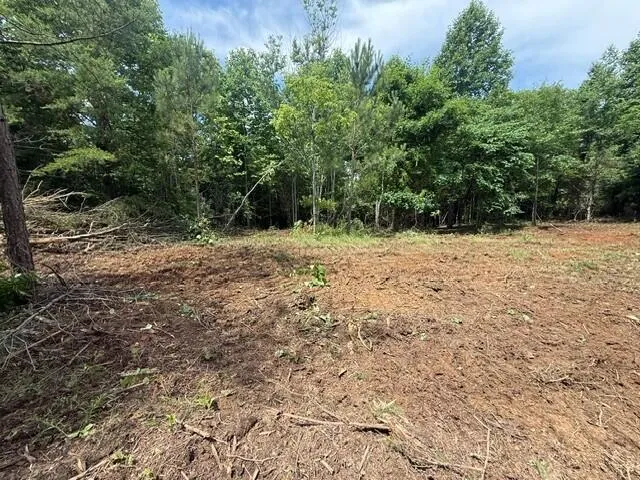 10775 S Pittsburg Mountain Road South Pittsburg, TN 37380
