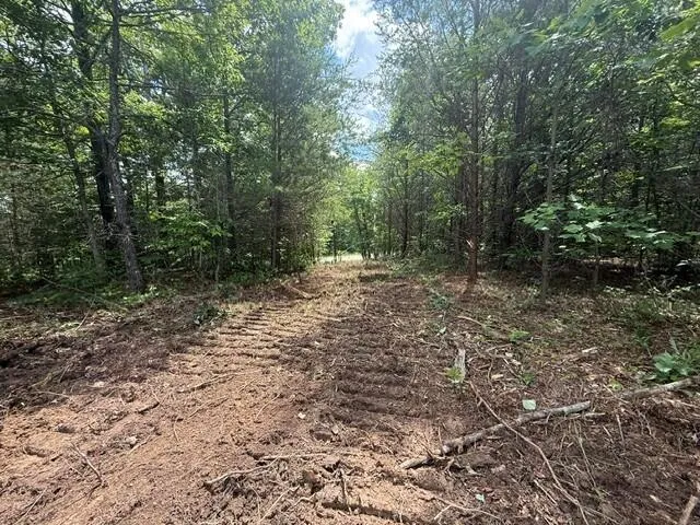 10775 S Pittsburg Mountain Road South Pittsburg, TN 37380