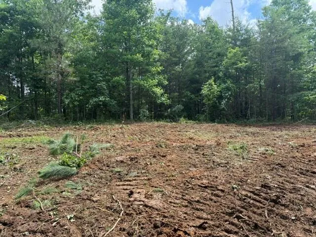 10775 S Pittsburg Mountain Road South Pittsburg, TN 37380