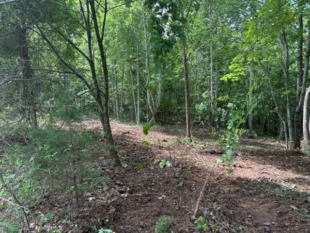 10775 S Pittsburg Mountain Road South Pittsburg, TN 37380