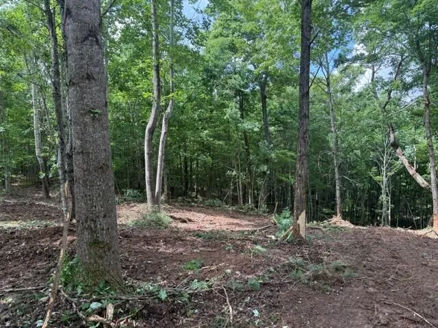 10775 S Pittsburg Mountain Road South Pittsburg, TN 37380