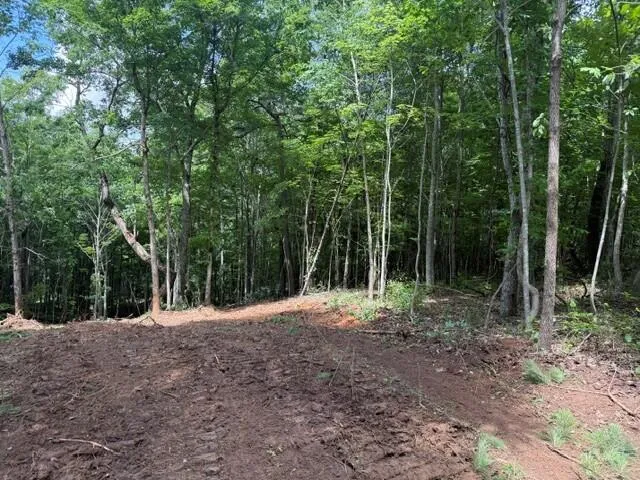 10775 S Pittsburg Mountain Road South Pittsburg, TN 37380