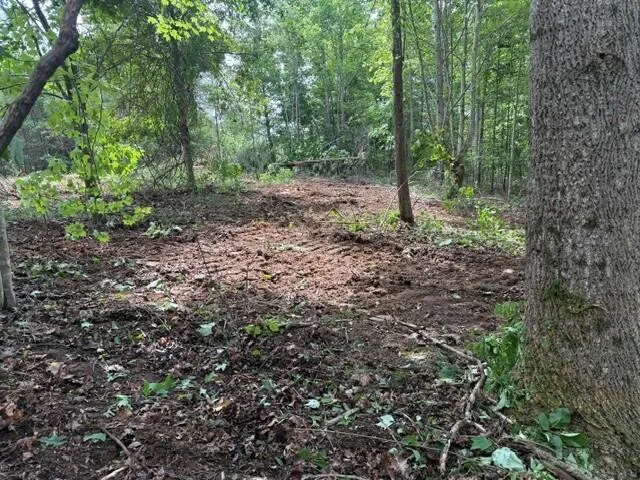 10775 S Pittsburg Mountain Road South Pittsburg, TN 37380