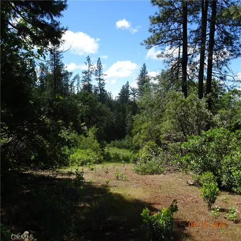Powell Ridge