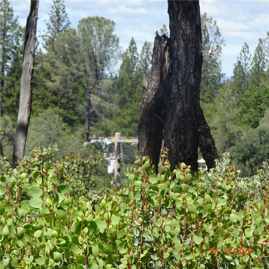 Powell Ridge Oroville, CA 95966