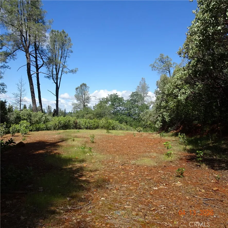 Powell Ridge Oroville, CA 95966