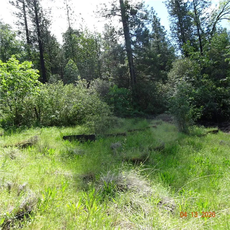 Powell Ridge Oroville, CA 95966