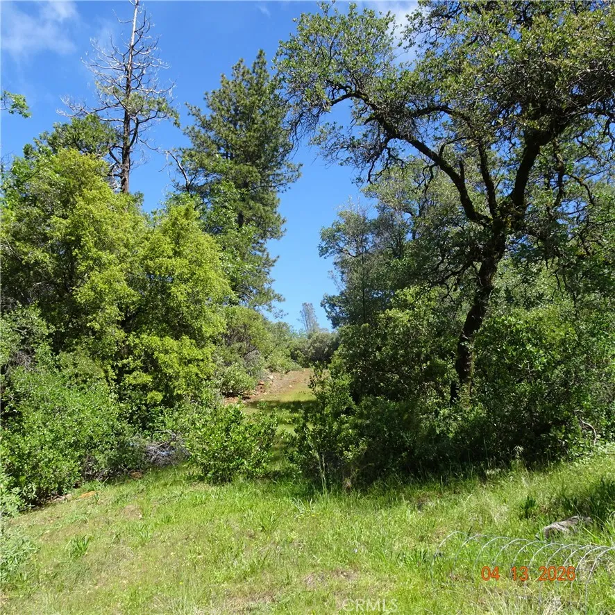 Powell Ridge Oroville, CA 95966