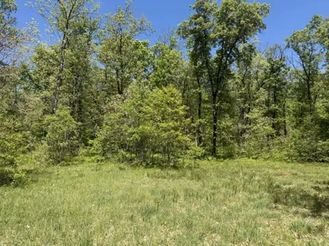W USFS 5196