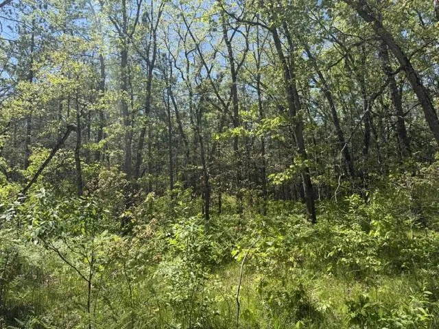 W USFS 5196 Baldwin, MI 49304