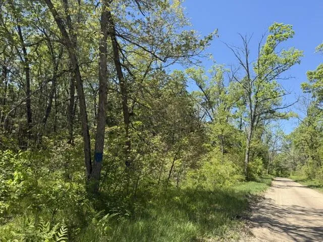 W USFS 5196 Baldwin, MI 49304