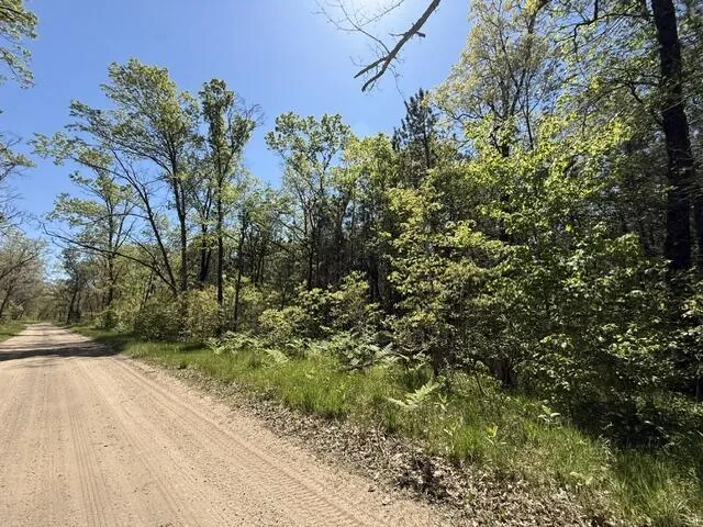 W USFS 5196 Baldwin, MI 49304