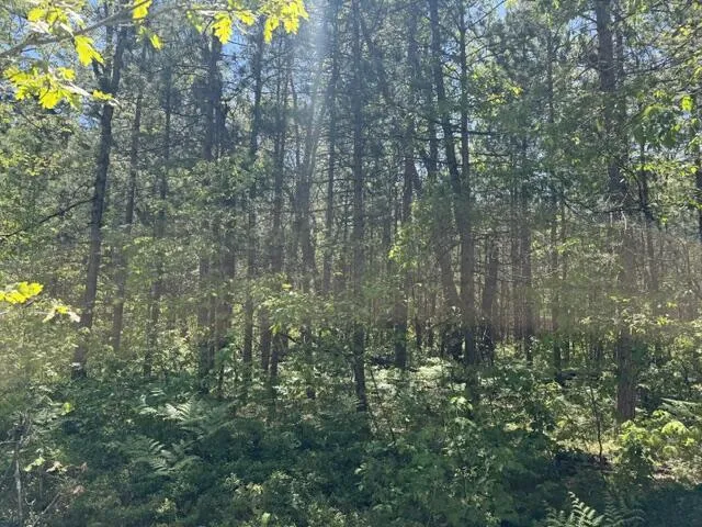 W USFS 5196 Baldwin, MI 49304