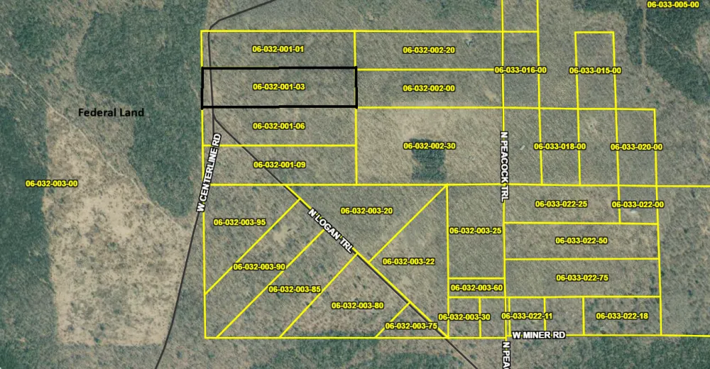W USFS 5196 Baldwin, MI 49304