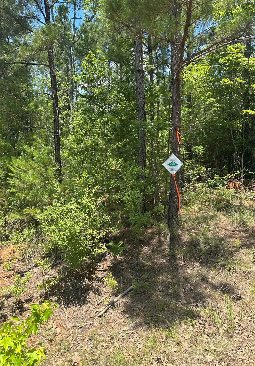 Maxey Haynesville, LA 71035